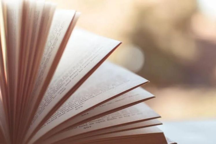 嚴偉坤：破產信息化手段運用的思考