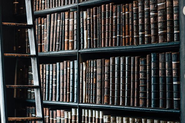 以案說法|執行案件中，能否追加一人有限公司的股東為被執行人？