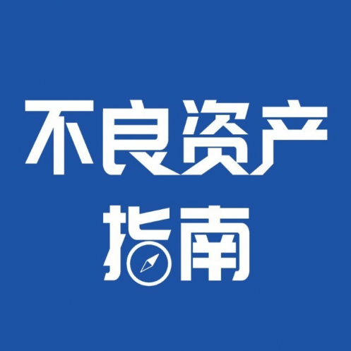 不良資產(chǎn)指南